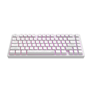 Dark Project ALU Terra Nostra White - Ενσύρματο πληκτρολόγιο παιχνιδιών (ANSI)