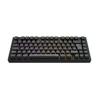 Dark Project ALU Terra Nostra Black - Wired Gaming Keyboard (ISO DE)