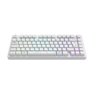 Dark Project ALU Terra Nova White - Ασύρματο πληκτρολόγιο παιχνιδιών (ISO DE)