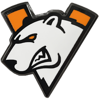 Virtus.pro metal pin  with logo