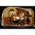 Weta Workshop The Lord of the Rings Trilogy - Bilbo Baggins in Bag End Limited Edition Statue Scale 1/6