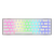 Dark Project KD68B Transparent - Pudding White - G3MS Mech. RGB (ENG/UA)