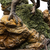 Iron Studios Jurassic World Dominion - Dilophosaurus Statue Art Scale 1/10