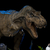 Iron Studios Jurassic Park - T-Rex attacks Donald Gennaro Statue Demi Scale 1/20
