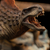 Iron Studios Jurassic World Dominion - Dimetrodon Statue Art Scale 1/10