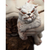 Weta Workshop The Hobbit Trilogy - Azog the Defiler Limited Edition Figure Mini Epics