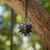 The Witcher 3: Wild Hunt Medallion and Chain with LED Eyes-N/A-N/A