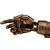PureArts Elden Ring - Arm of Malenia Life-Size Replica 