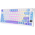 Royal Kludge M75 OLED 81K Taro Milk - RGB ANSI (ENG) wireless