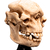 Weta Workshop Lord of the Rings - Skull of a Cave Troll Minuature