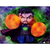 Iron Studios & Minico Avengers: Endgame - Doctor Strange Figure