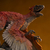 Iron Studios Jurassic World: Dominion - Pyroraptor Statue Art Scale 1/10