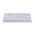 Dark Project ALU Terra Nostra White - Wired Gaming Keyboard (ISO DE)