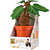 Noble Collection Harry Potter - Electronic Plush Mandrake