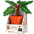 Noble Collection Harry Potter - Electronic Plush Mandrake