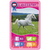 Winning Moves Top Trumps - Horses & Unicorn Cards Standard Tuck Box Multillingual