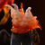 Iron Studios DC Comics Series #9: Flash Art Scale 1/10