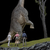 Welcome to the Jurassic Park 