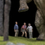Welcome to the Jurassic Park 