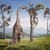 Welcome to the Jurassic Park 